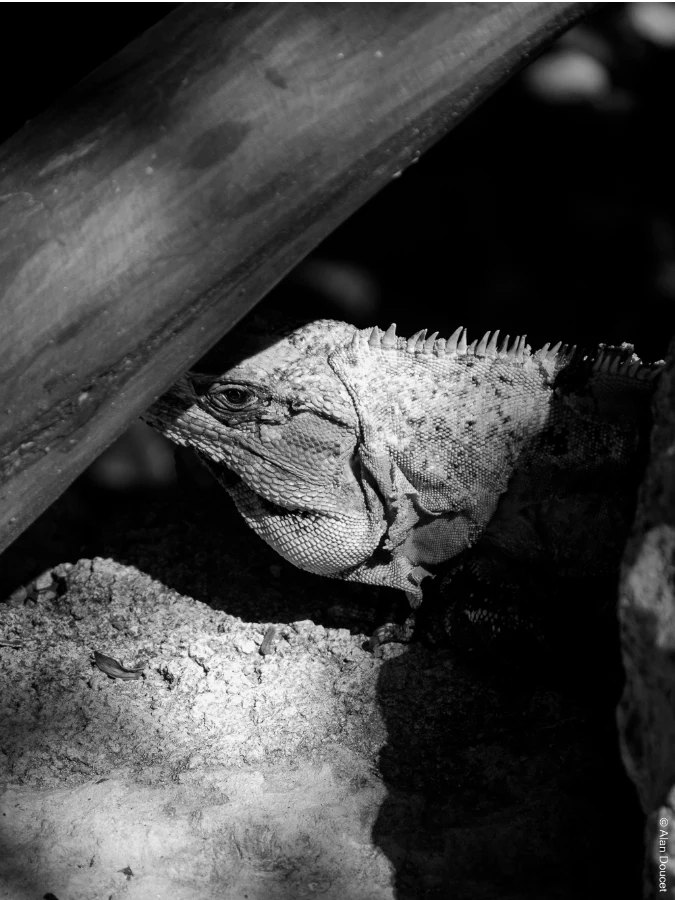 Xcaret Eco Park | Mexique