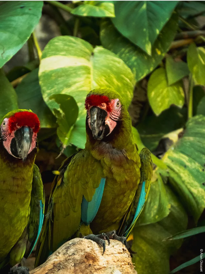 Xcaret Eco Park | Mexique