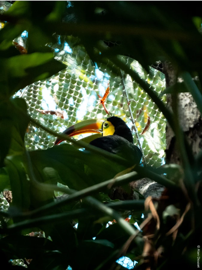 Xcaret Eco Park | Mexique