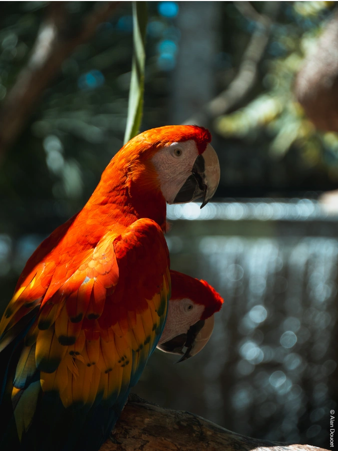 Xcaret Eco Park | Mexique