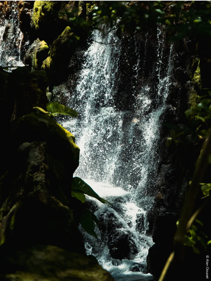 Xcaret Eco Park | Mexique